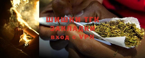 молекула духа Белоозёрский