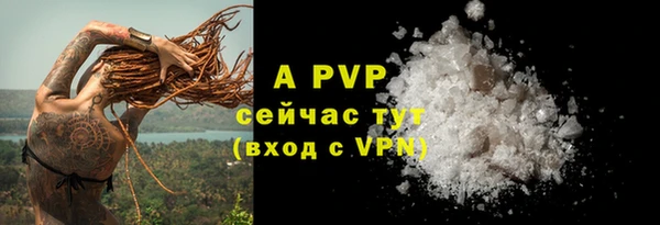 молекула духа Белоозёрский