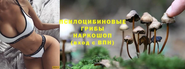 молекула духа Белоозёрский