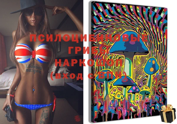 спиды Беломорск